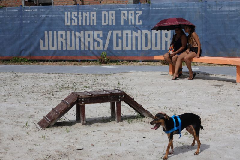  <div class='credito_fotos'>Foto: Pedro Guerreiro / Ag. Pará &nbsp;&nbsp;|&nbsp;&nbsp; <a href='/midias/2024/originais/20023_28a3de91-88f7-9ea9-3e16-95c184ffb50f.jpg' download><i class='fa-solid fa-download'></i> Download</a></div>