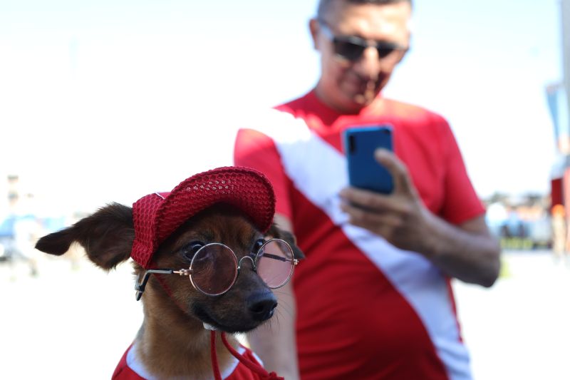  <div class='credito_fotos'>Foto: Pedro Guerreiro / Ag. Pará &nbsp;&nbsp;|&nbsp;&nbsp; <a href='/midias/2024/originais/20023_ae00e06e-1abf-e281-1982-d8145e11cd3a.jpg' download><i class='fa-solid fa-download'></i> Download</a></div>