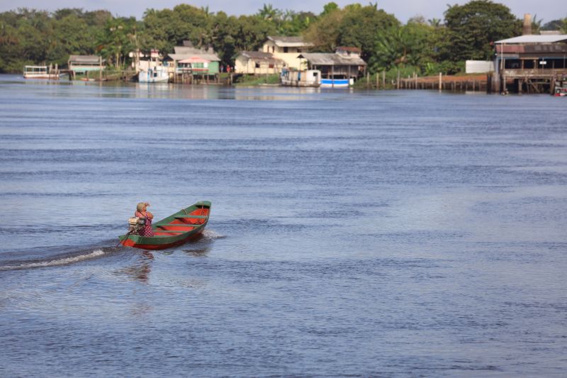  <div class='credito_fotos'>Foto: Bruno Cecim / Ag.Pará &nbsp;&nbsp;|&nbsp;&nbsp; <a href='/midias/2024/originais/20027_2c0068de-fab9-f34f-0fe7-3adad78809f9.jpg' download><i class='fa-solid fa-download'></i> Download</a></div>