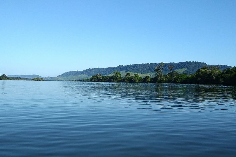  <div class='credito_fotos'>Foto: Agência Pará &nbsp;&nbsp;|&nbsp;&nbsp; <a href='/midias/2024/originais/20029_02a9e665-c9a9-4b2e-fe35-34b94bb05582.jpg' download><i class='fa-solid fa-download'></i> Download</a></div>