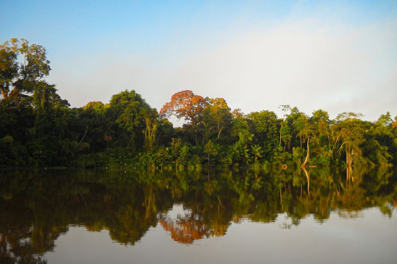  <div class='credito_fotos'>Foto: Agência Pará &nbsp;&nbsp;|&nbsp;&nbsp; <a href='/midias/2024/originais/20029_28674f7b-fa81-0f1c-0a4f-8263ac4c16c6.jpg' download><i class='fa-solid fa-download'></i> Download</a></div>