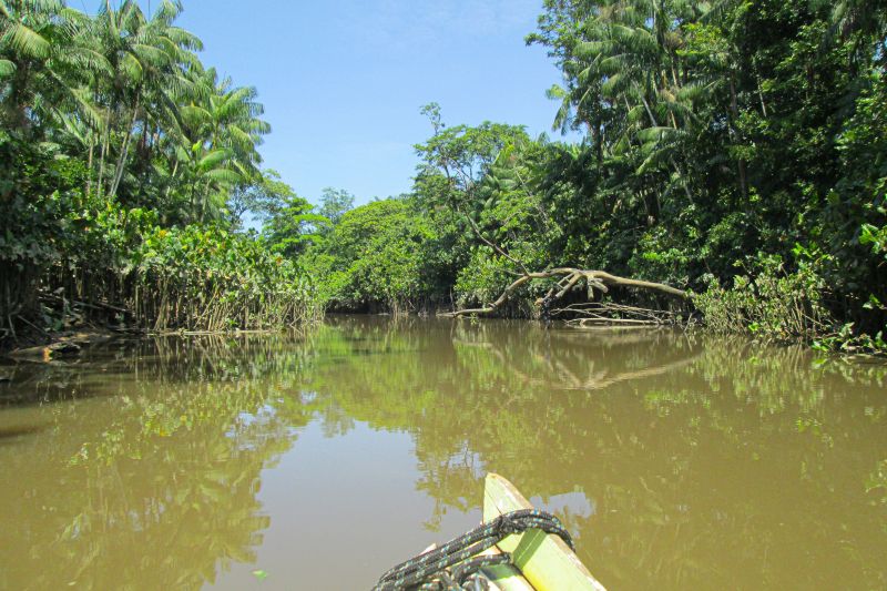  <div class='credito_fotos'>Foto: Agência Pará &nbsp;&nbsp;|&nbsp;&nbsp; <a href='/midias/2024/originais/20029_87e3698c-9394-623b-8b21-ff1cc3631be8.jpg' download><i class='fa-solid fa-download'></i> Download</a></div>