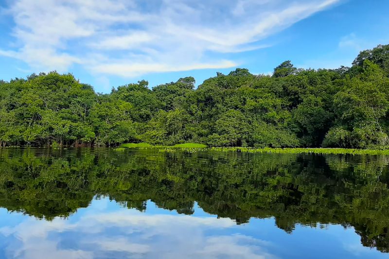  <div class='credito_fotos'>Foto: Agência Pará &nbsp;&nbsp;|&nbsp;&nbsp; <a href='/midias/2024/originais/20029_8cce09ca-8360-b1e0-1791-df1a20db18be.jpg' download><i class='fa-solid fa-download'></i> Download</a></div>