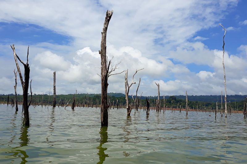  <div class='credito_fotos'>Foto: Agência Pará &nbsp;&nbsp;|&nbsp;&nbsp; <a href='/midias/2024/originais/20029_94a6040d-df41-2982-324b-a909060da9aa.jpg' download><i class='fa-solid fa-download'></i> Download</a></div>