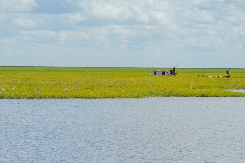  <div class='credito_fotos'>Foto: Agência Pará &nbsp;&nbsp;|&nbsp;&nbsp; <a href='/midias/2024/originais/20029_98d53abf-9d98-68c3-4625-bd613e84712e.jpg' download><i class='fa-solid fa-download'></i> Download</a></div>