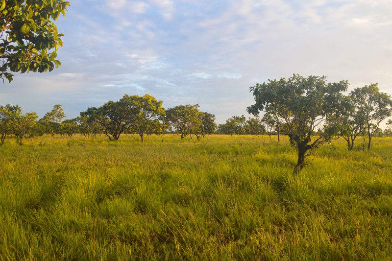  <div class='credito_fotos'>Foto: Agência Pará &nbsp;&nbsp;|&nbsp;&nbsp; <a href='/midias/2024/originais/20029_bfed3d85-b588-a3ca-9657-8e8c1e149984.jpg' download><i class='fa-solid fa-download'></i> Download</a></div>