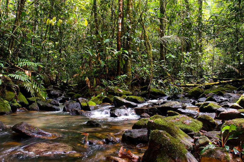  <div class='credito_fotos'>Foto: Agência Pará &nbsp;&nbsp;|&nbsp;&nbsp; <a href='/midias/2024/originais/20029_c9330f1b-5983-89a8-3d89-2a35ebd879fd.jpg' download><i class='fa-solid fa-download'></i> Download</a></div>