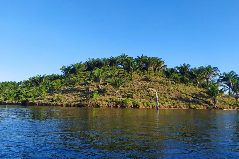  <div class='credito_fotos'>Foto: Agência Pará &nbsp;&nbsp;|&nbsp;&nbsp; <a href='/midias/2024/originais/20029_c95cdf01-8ed2-38cd-81f3-804539ab6296.jpg' download><i class='fa-solid fa-download'></i> Download</a></div>