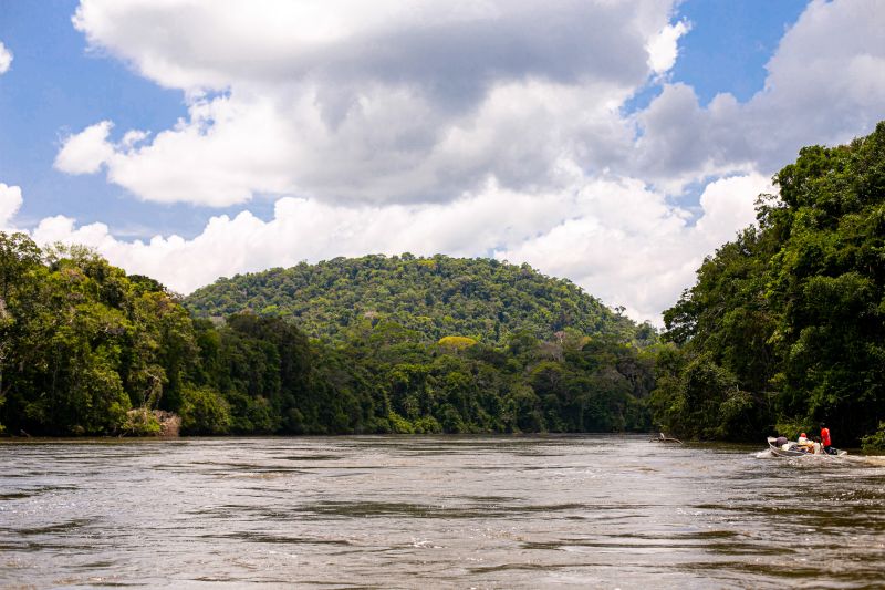  <div class='credito_fotos'>Foto: Agência Pará &nbsp;&nbsp;|&nbsp;&nbsp; <a href='/midias/2024/originais/20029_d3f6b26f-845c-bfa8-2a75-74256fee4966.jpg' download><i class='fa-solid fa-download'></i> Download</a></div>