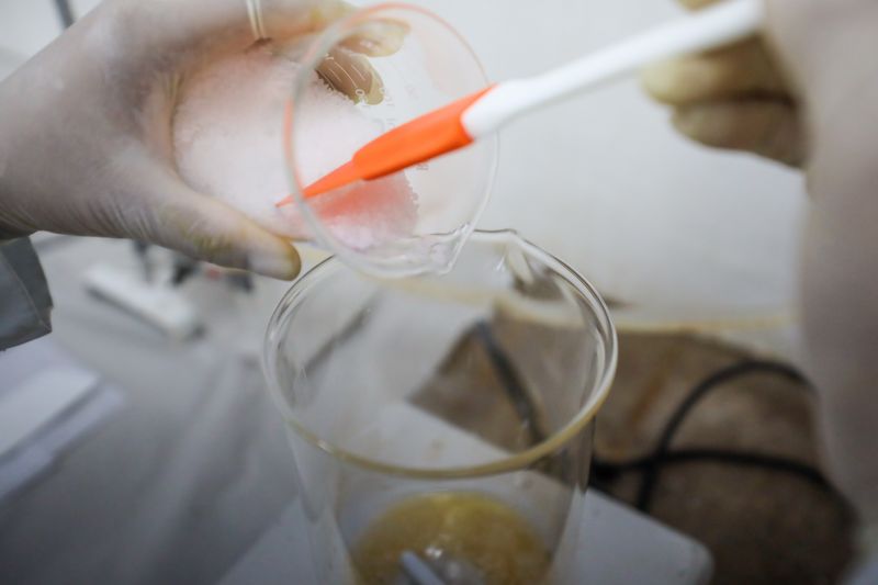  <div class='credito_fotos'>Foto: Marcelo Lelis / Ag. Pará &nbsp;&nbsp;|&nbsp;&nbsp; <a href='/midias/2024/originais/20037_09131792-2611-2343-3a0b-0ffd2a362f2a.jpg' download><i class='fa-solid fa-download'></i> Download</a></div>