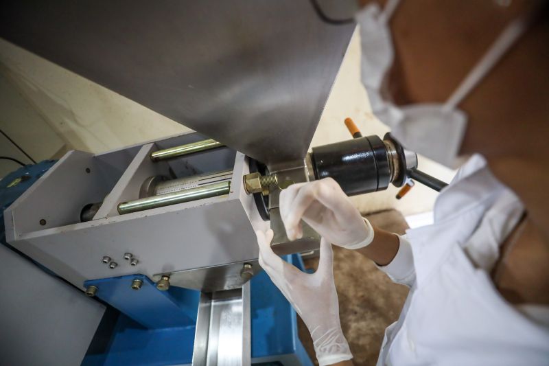  <div class='credito_fotos'>Foto: Marcelo Lelis / Ag. Pará &nbsp;&nbsp;|&nbsp;&nbsp; <a href='/midias/2024/originais/20037_5b6141fb-737f-4472-6678-c166e477db38.jpg' download><i class='fa-solid fa-download'></i> Download</a></div>