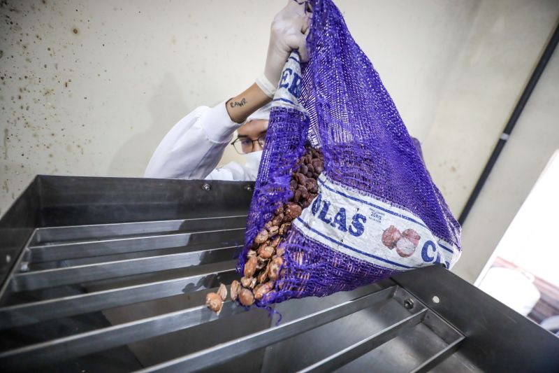  <div class='credito_fotos'>Foto: Marcelo Lelis / Ag. Pará &nbsp;&nbsp;|&nbsp;&nbsp; <a href='/midias/2024/originais/20037_7d07930d-e939-bc66-baa8-23591aa7b33e.jpg' download><i class='fa-solid fa-download'></i> Download</a></div>