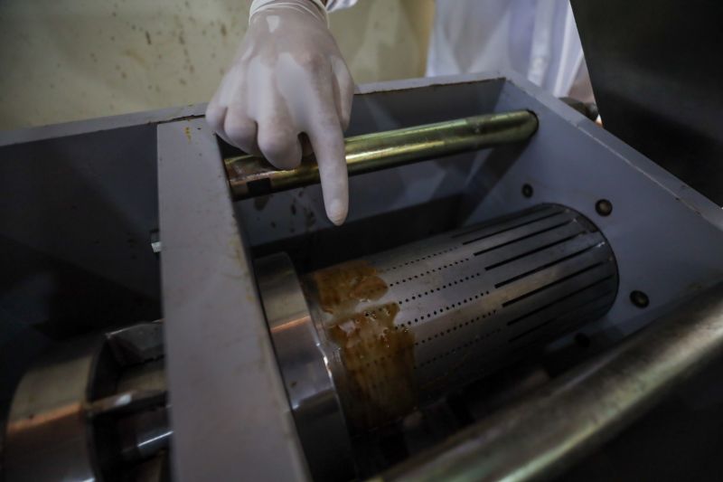  <div class='credito_fotos'>Foto: Marcelo Lelis / Ag. Pará &nbsp;&nbsp;|&nbsp;&nbsp; <a href='/midias/2024/originais/20037_f4d62970-379a-9cc7-1c34-1590122cf1d9.jpg' download><i class='fa-solid fa-download'></i> Download</a></div>