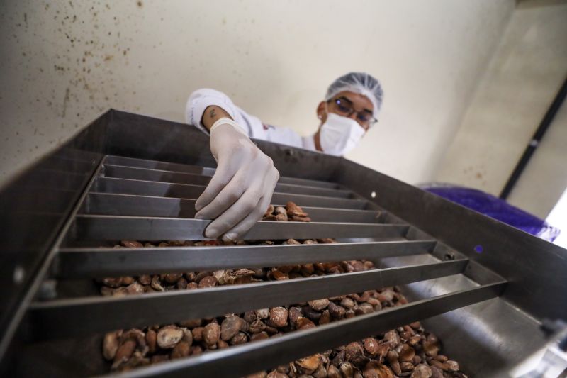  <div class='credito_fotos'>Foto: Marcelo Lelis / Ag. Pará &nbsp;&nbsp;|&nbsp;&nbsp; <a href='/midias/2024/originais/20037_ff36091b-0f8f-7926-8d9a-ac2be265bffb.jpg' download><i class='fa-solid fa-download'></i> Download</a></div>