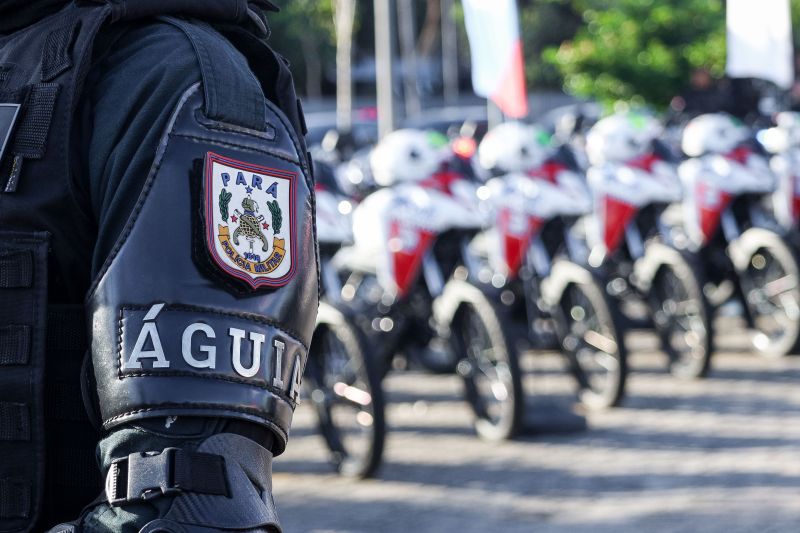  <div class='credito_fotos'>Foto: Pedro Guerreiro / Ag. Pará &nbsp;&nbsp;|&nbsp;&nbsp; <a href='/midias/2024/originais/20044_917bd475-7f4f-e4bc-5a7d-b8b1882487a7.jpg' download><i class='fa-solid fa-download'></i> Download</a></div>