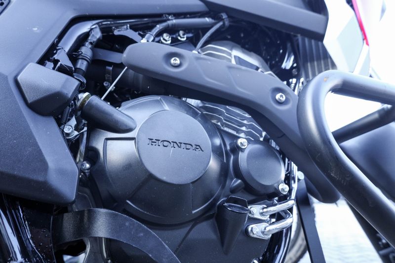  <div class='credito_fotos'>Foto: Pedro Guerreiro / Ag. Pará &nbsp;&nbsp;|&nbsp;&nbsp; <a href='/midias/2024/originais/20044_fc611a33-f795-b992-662e-b12615147fb5.jpg' download><i class='fa-solid fa-download'></i> Download</a></div>