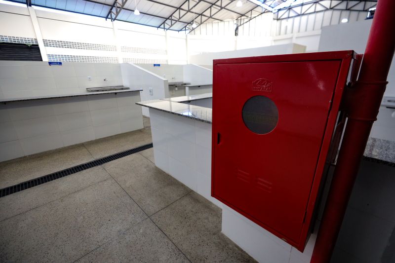  <div class='credito_fotos'>Foto: Pedro Guerreiro / Ag. Pará &nbsp;&nbsp;|&nbsp;&nbsp; <a href='/midias/2024/originais/20061_05fce9aa-959c-a965-fce7-68f1a4523d28.jpg' download><i class='fa-solid fa-download'></i> Download</a></div>