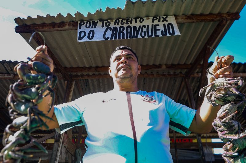  <div class='credito_fotos'>Foto: Pedro Guerreiro / Ag. Pará &nbsp;&nbsp;|&nbsp;&nbsp; <a href='/midias/2024/originais/20061_52d5bbfb-0f07-c1b8-a7ac-b1408ddc2af5.jpg' download><i class='fa-solid fa-download'></i> Download</a></div>