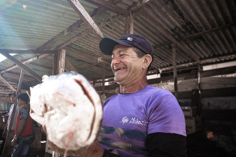  <div class='credito_fotos'>Foto: Pedro Guerreiro / Ag. Pará &nbsp;&nbsp;|&nbsp;&nbsp; <a href='/midias/2024/originais/20061_c0242d24-36dc-82e7-73b9-a3148a4db230.jpg' download><i class='fa-solid fa-download'></i> Download</a></div>