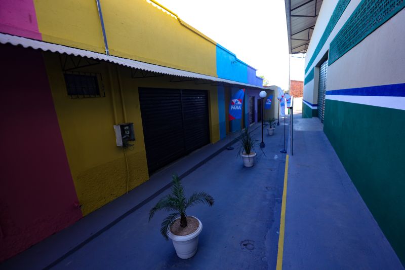  <div class='credito_fotos'>Foto: Pedro Guerreiro / Ag. Pará &nbsp;&nbsp;|&nbsp;&nbsp; <a href='/midias/2024/originais/20061_fe2e4a0c-0bda-9141-3114-014b21df5f48.jpg' download><i class='fa-solid fa-download'></i> Download</a></div>