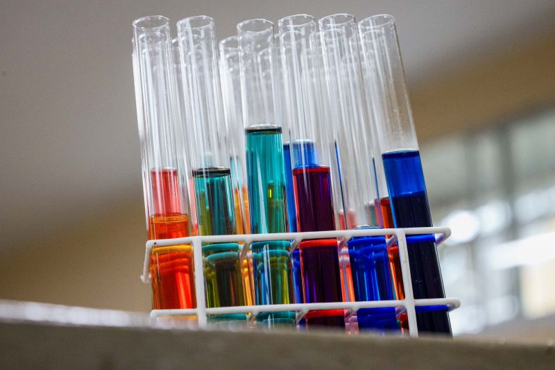  <div class='credito_fotos'>Foto: Pedro Guerreiro / Ag. Pará &nbsp;&nbsp;|&nbsp;&nbsp; <a href='/midias/2024/originais/20064_839e79f0-4eb0-f319-6555-c806392fe529.jpg' download><i class='fa-solid fa-download'></i> Download</a></div>