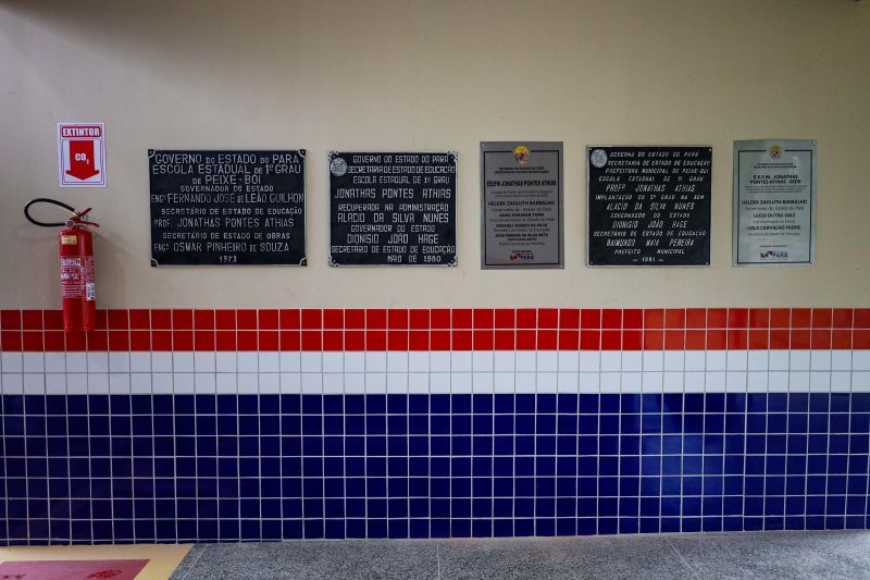  <div class='credito_fotos'>Foto: Pedro Guerreiro / Ag. Pará &nbsp;&nbsp;|&nbsp;&nbsp; <a href='/midias/2024/originais/20064_f2036ae6-e29b-f4b0-7042-39a067d6660e.jpg' download><i class='fa-solid fa-download'></i> Download</a></div>