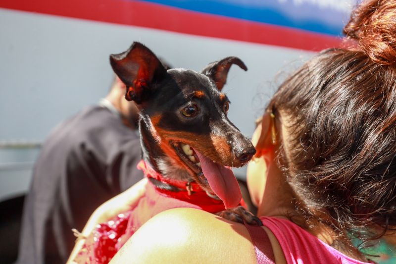  <div class='credito_fotos'>Foto: Bruno Cruz / Ag. Pará &nbsp;&nbsp;|&nbsp;&nbsp; <a href='/midias/2024/originais/20084_163a2765-cd54-9e9e-2866-6855a147ab4b.jpg' download><i class='fa-solid fa-download'></i> Download</a></div>