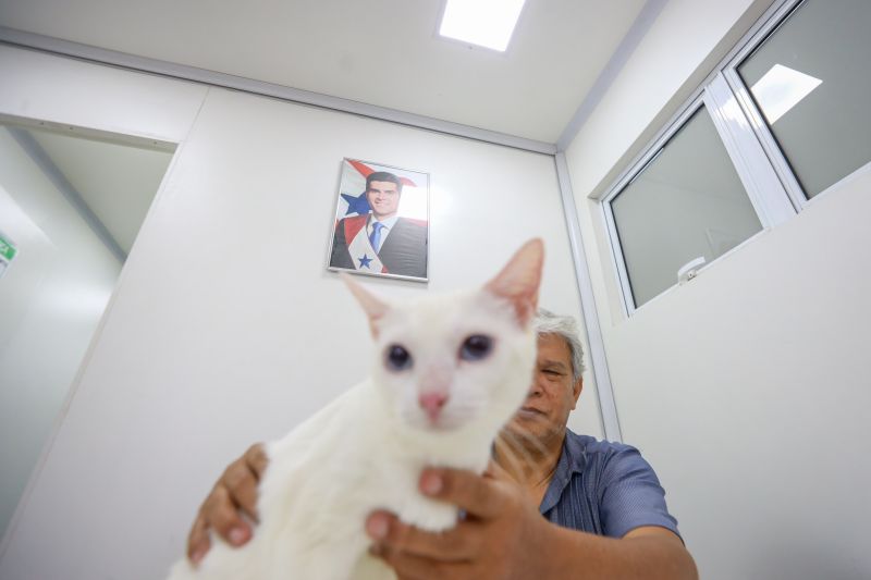  <div class='credito_fotos'>Foto: Bruno Cruz / Ag. Pará &nbsp;&nbsp;|&nbsp;&nbsp; <a href='/midias/2024/originais/20084_9c823fd1-d4c7-dd7c-1c9e-d6e1cf0d4c16.jpg' download><i class='fa-solid fa-download'></i> Download</a></div>