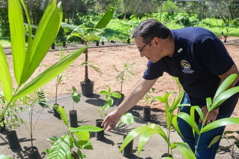 Marcel Botelho - presidente FAPESPA