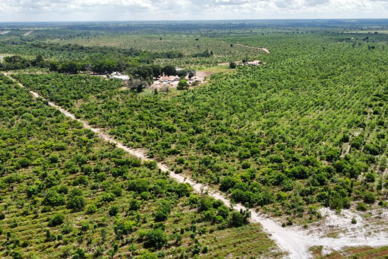  <div class='credito_fotos'>Foto: Paulo Cezar / Ag. Pará &nbsp;&nbsp;|&nbsp;&nbsp; <a href='/midias/2024/originais/20103_136e53bd-1a69-e486-8adb-4a10982c7b3f.jpg' download><i class='fa-solid fa-download'></i> Download</a></div>