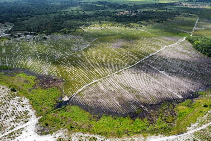  <div class='credito_fotos'>Foto: Paulo Cezar / Ag. Pará &nbsp;&nbsp;|&nbsp;&nbsp; <a href='/midias/2024/originais/20103_1dfdeadf-6851-1727-cdc8-395676f9d138.jpg' download><i class='fa-solid fa-download'></i> Download</a></div>