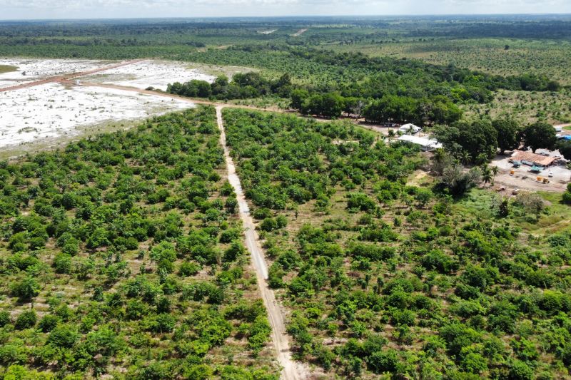  <div class='credito_fotos'>Foto: Paulo Cezar / Ag. Pará &nbsp;&nbsp;|&nbsp;&nbsp; <a href='/midias/2024/originais/20103_3bfef42c-06a5-caa6-113b-1fedb3dc4930.jpg' download><i class='fa-solid fa-download'></i> Download</a></div>