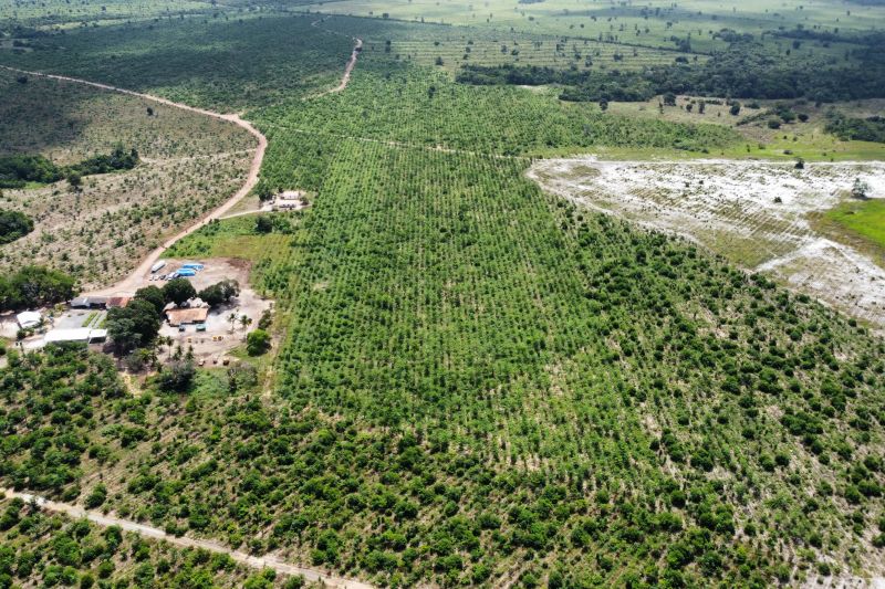  <div class='credito_fotos'>Foto: Paulo Cezar / Ag. Pará &nbsp;&nbsp;|&nbsp;&nbsp; <a href='/midias/2024/originais/20103_3f760a39-0e4a-561c-3d85-4c65be308b52.jpg' download><i class='fa-solid fa-download'></i> Download</a></div>