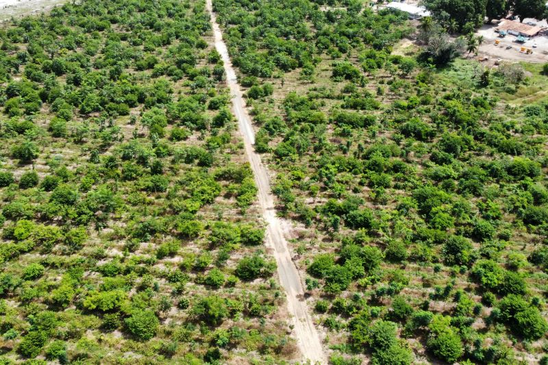  <div class='credito_fotos'>Foto: Paulo Cezar / Ag. Pará &nbsp;&nbsp;|&nbsp;&nbsp; <a href='/midias/2024/originais/20103_62bccc97-ab1f-13cc-23a8-79dfb7de80a8.jpg' download><i class='fa-solid fa-download'></i> Download</a></div>