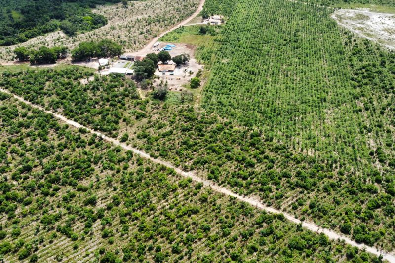  <div class='credito_fotos'>Foto: Paulo Cezar / Ag. Pará &nbsp;&nbsp;|&nbsp;&nbsp; <a href='/midias/2024/originais/20103_6a5e2672-dbd2-2e30-be0b-cc96b6684715.jpg' download><i class='fa-solid fa-download'></i> Download</a></div>