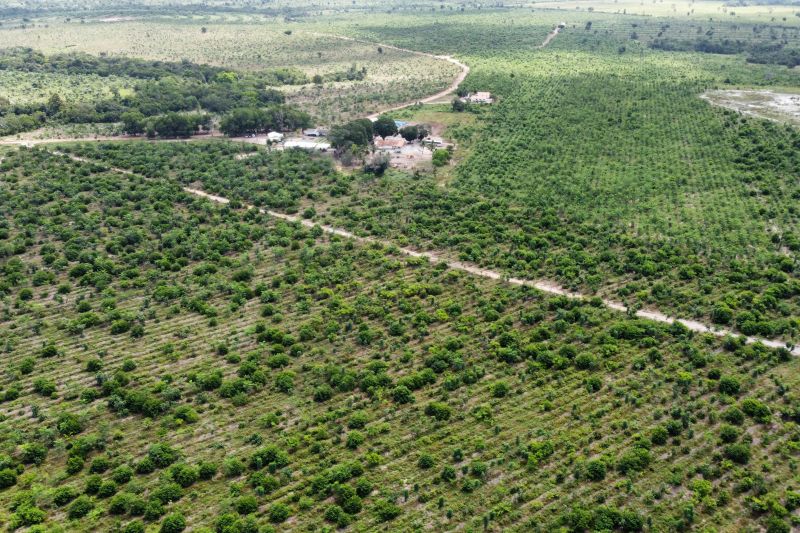  <div class='credito_fotos'>Foto: Paulo Cezar / Ag. Pará &nbsp;&nbsp;|&nbsp;&nbsp; <a href='/midias/2024/originais/20103_97176771-d1db-205f-d252-6b94bb6ae4b4.jpg' download><i class='fa-solid fa-download'></i> Download</a></div>