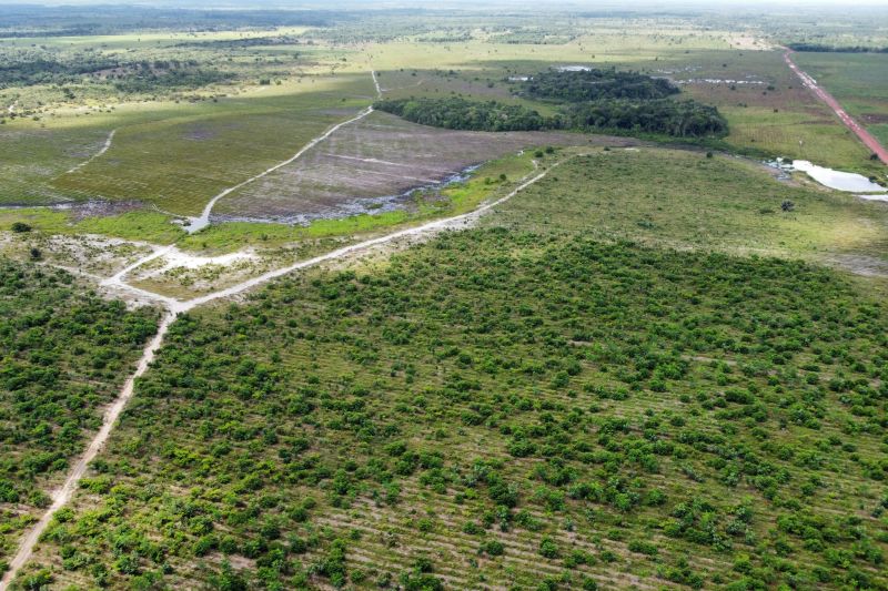  <div class='credito_fotos'>Foto: Paulo Cezar / Ag. Pará &nbsp;&nbsp;|&nbsp;&nbsp; <a href='/midias/2024/originais/20103_a2a9dcc1-0027-379a-86d7-16a686ee90ff.jpg' download><i class='fa-solid fa-download'></i> Download</a></div>