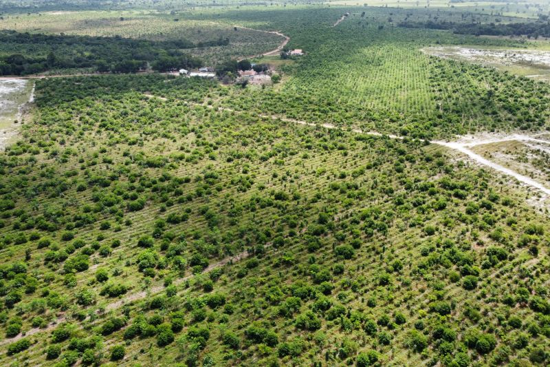  <div class='credito_fotos'>Foto: Paulo Cezar / Ag. Pará &nbsp;&nbsp;|&nbsp;&nbsp; <a href='/midias/2024/originais/20103_b01deadf-efdb-5985-f69e-560818a05e23.jpg' download><i class='fa-solid fa-download'></i> Download</a></div>