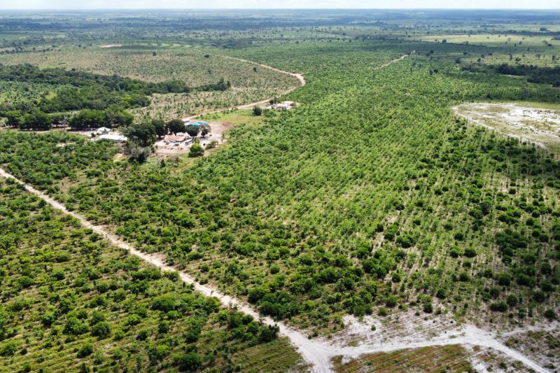  <div class='credito_fotos'>Foto: Paulo Cezar / Ag. Pará &nbsp;&nbsp;|&nbsp;&nbsp; <a href='/midias/2024/originais/20103_ea172429-f1b2-f83d-a610-8538604c765c.jpg' download><i class='fa-solid fa-download'></i> Download</a></div>