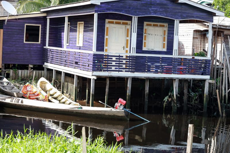  <div class='credito_fotos'>Foto: Bruno Cruz / Ag. Pará &nbsp;&nbsp;|&nbsp;&nbsp; <a href='/midias/2024/originais/20104_0ca147d9-b653-e026-f744-8f141e8951c1.jpg' download><i class='fa-solid fa-download'></i> Download</a></div>