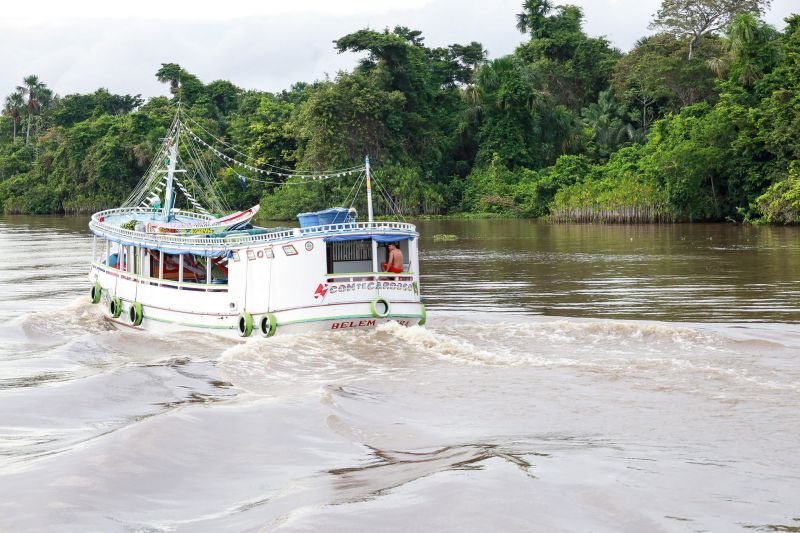  <div class='credito_fotos'>Foto: Bruno Cruz / Ag. Pará &nbsp;&nbsp;|&nbsp;&nbsp; <a href='/midias/2024/originais/20104_ab6db3a3-b0c5-1551-a275-ae8a96518a92.jpg' download><i class='fa-solid fa-download'></i> Download</a></div>