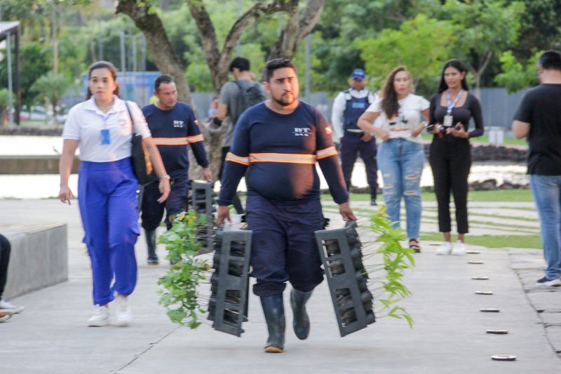  <div class='credito_fotos'>Foto: Pedro Guerreiro / Ag. Pará &nbsp;&nbsp;|&nbsp;&nbsp; <a href='/midias/2024/originais/20107_27a7692c-e877-d5cf-c165-9ef8fb499faf.jpg' download><i class='fa-solid fa-download'></i> Download</a></div>