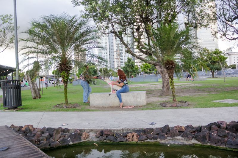  <div class='credito_fotos'>Foto: Pedro Guerreiro / Ag. Pará &nbsp;&nbsp;|&nbsp;&nbsp; <a href='/midias/2024/originais/20107_473b3548-f8c5-faa5-55f5-d1bc839123ee.jpg' download><i class='fa-solid fa-download'></i> Download</a></div>