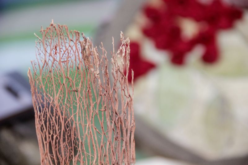  <div class='credito_fotos'>Foto: Pedro Guerreiro / Ag. Pará &nbsp;&nbsp;|&nbsp;&nbsp; <a href='/midias/2024/originais/20107_c64a9c3a-0503-db3f-9693-ec03433cb080.jpg' download><i class='fa-solid fa-download'></i> Download</a></div>