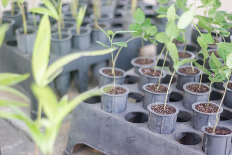  <div class='credito_fotos'>Foto: Pedro Guerreiro / Ag. Pará &nbsp;&nbsp;|&nbsp;&nbsp; <a href='/midias/2024/originais/20107_d5f41546-5677-1671-81ed-f34e2ce80f3e.jpg' download><i class='fa-solid fa-download'></i> Download</a></div>