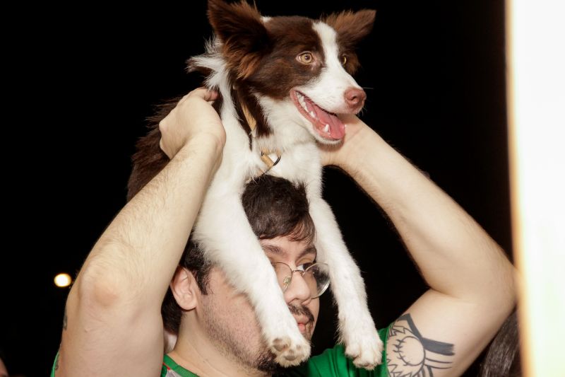  <div class='credito_fotos'>Foto: Pedro Guerreiro / Ag. Pará &nbsp;&nbsp;|&nbsp;&nbsp; <a href='/midias/2024/originais/20109_b26564f1-4676-804e-7567-b327880557e9.jpg' download><i class='fa-solid fa-download'></i> Download</a></div>