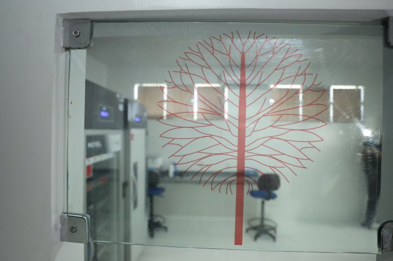  <div class='credito_fotos'>Foto: Marcelo Lelis / Ag. Pará &nbsp;&nbsp;|&nbsp;&nbsp; <a href='/midias/2024/originais/20110_999f0ba9-a611-782c-8fca-65eac978d8d3.jpg' download><i class='fa-solid fa-download'></i> Download</a></div>