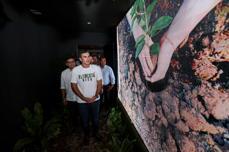  <div class='credito_fotos'>Foto: Bruno Cecim / Ag.Pará &nbsp;&nbsp;|&nbsp;&nbsp; <a href='/midias/2024/originais/20111_44760bba-8f00-196c-17d5-862b1b9a682f.jpg' download><i class='fa-solid fa-download'></i> Download</a></div>