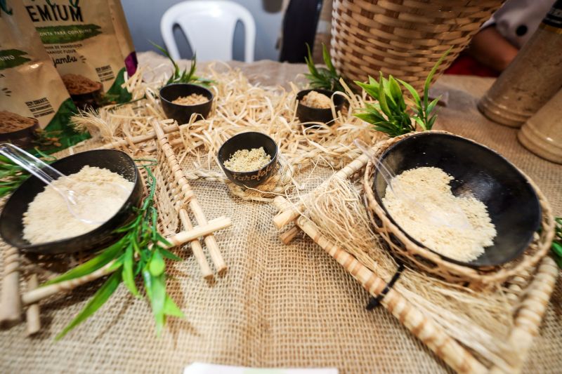  <div class='credito_fotos'>Foto: Bruno Cecim / Ag.Pará &nbsp;&nbsp;|&nbsp;&nbsp; <a href='/midias/2024/originais/20111_fadd2367-6c0d-f9fb-30cd-3a5e4bd6b0e2.jpg' download><i class='fa-solid fa-download'></i> Download</a></div>