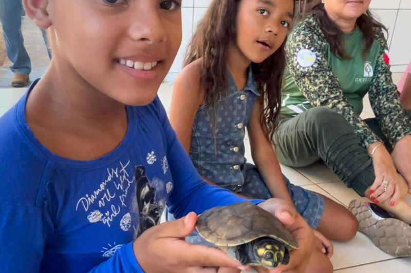  <div class='credito_fotos'>Foto: Beatriz Rabelo / Ascom Ideflor-Bio &nbsp;&nbsp;|&nbsp;&nbsp; <a href='/midias/2024/originais/20123_17bb8c13-1548-7a51-a144-67d7bfc67e63.jpg' download><i class='fa-solid fa-download'></i> Download</a></div>